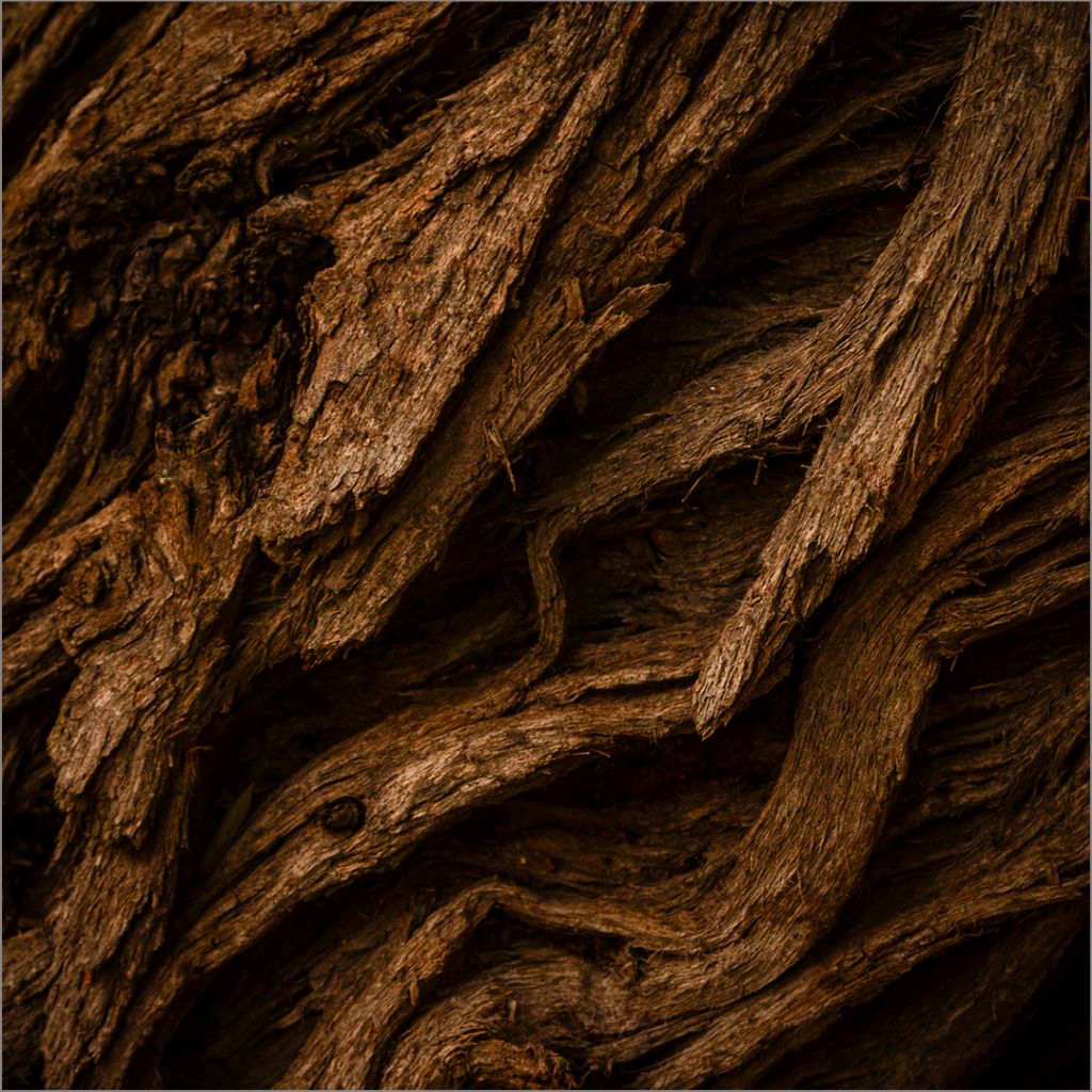 Best Junior Set Subject of the Month